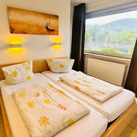 別荘 Goethestrasse